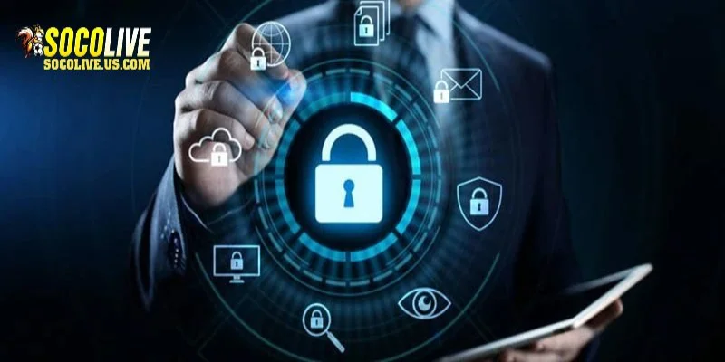 Giải thích lý do web thu thập thông tin trong chính sách bảo mật