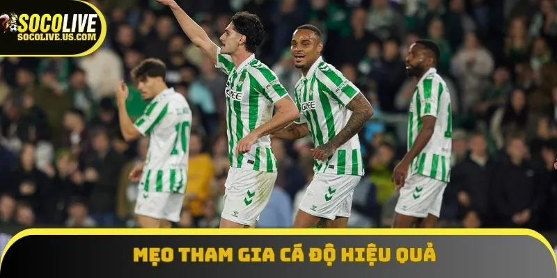 Mẹo tham gia cá độ hiệu quả