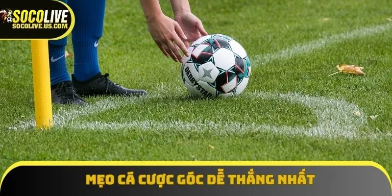 Mẹo cá cược góc dễ thắng nhất