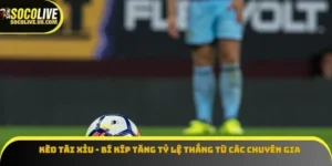 Kèo tài xỉu