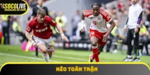kèo toàn trận