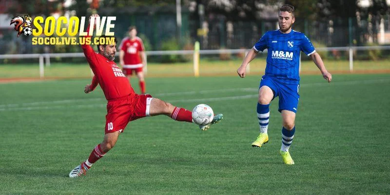 Tổng hợp những giải đấu hấp dẫn có Livescore
