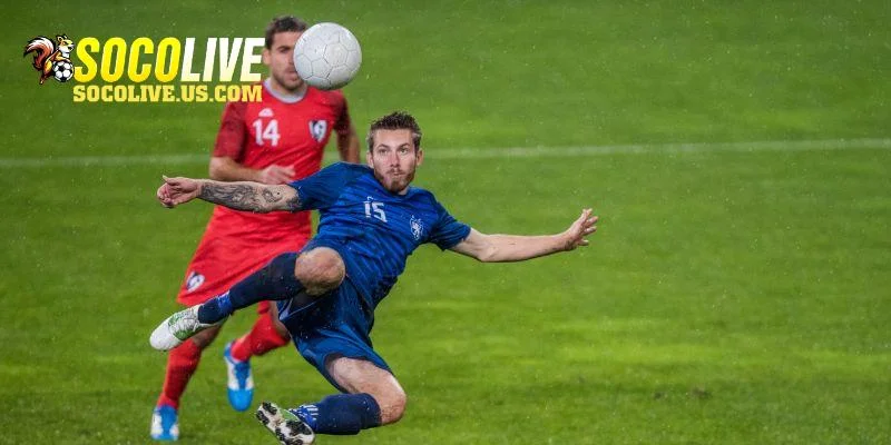 Vài nét giới thiệu về công cụ Livescore