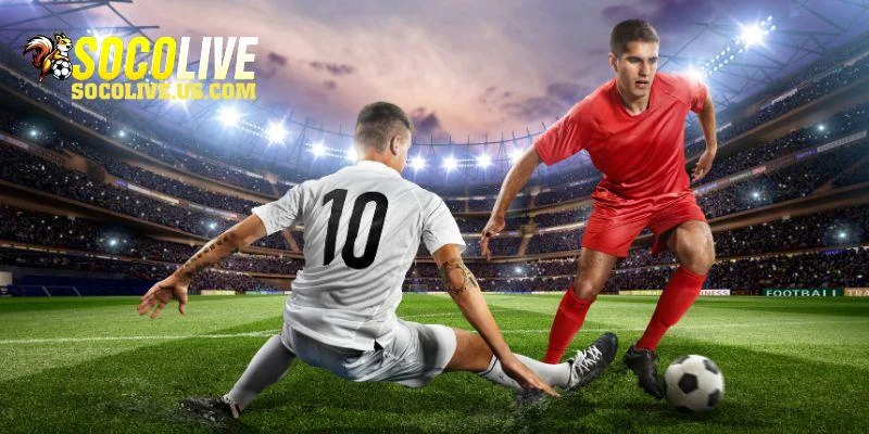 Những thành phần chính có trong Livescore
